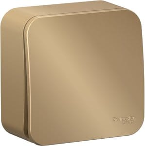 Переключатель Blanca 1-клавишный, 10А, Титан Schneider Electric BLNVA106014