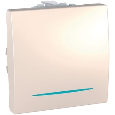 MGU3.201.25N Одноклавишный выключатель (сх.1) с инд. ламп Schneider Electric