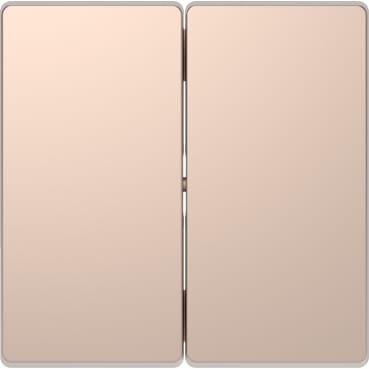Клавиша D-Life 2-ная Шампань Schneider Electric MTN3400-6051