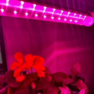 Светильник для растений СПБ-Т5-ФИТО 15Вт 870 мм IN HOME 4690612033105