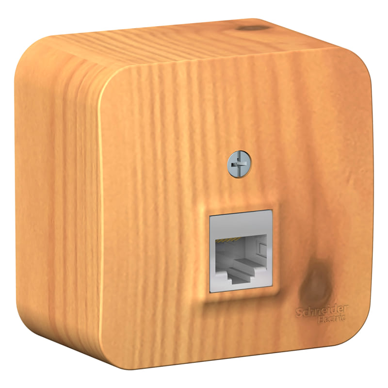 Розетка Blanca компьютерная RJ45, Ясень Schneider Electric BLNIA045005