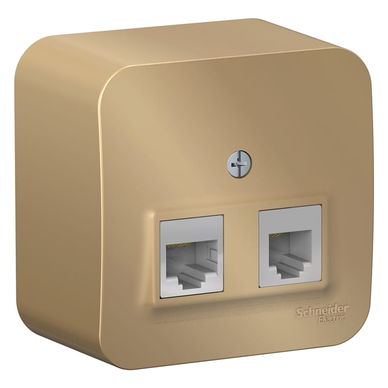 Розетка Blanca телеф.RJ11+комп.RJ45, Титан Schneider Electric BLNIA045114