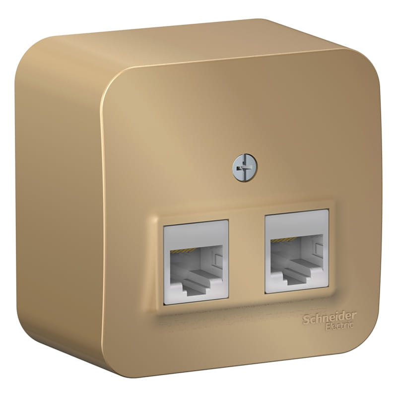 Розетка Blanca компьютерная RJ45+RJ45, Титан Schneider Electric BLNIA045454