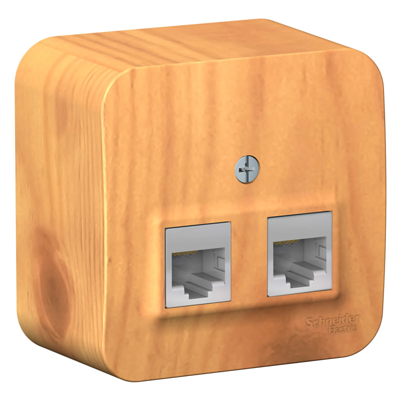 Розетка Blanca компьютерная RJ45+RJ45, Ясень Schneider Electric BLNIA045455