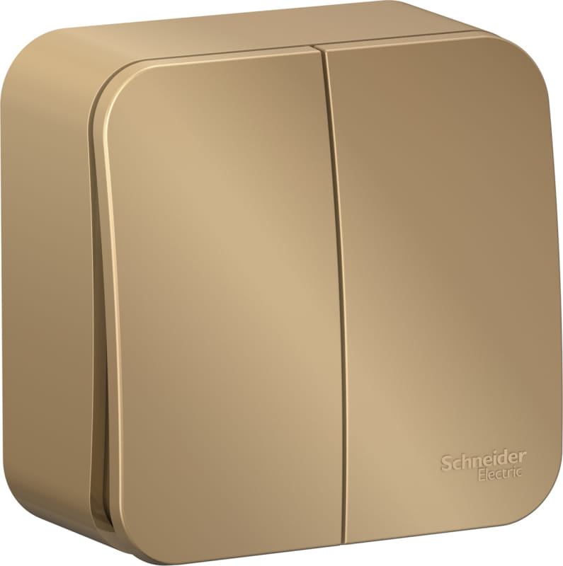 Выключатель Blanca 2-клавишный, 10А, Титан Schneider Electric BLNVA105014