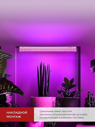 Светильник для растений СПБ-Т5-ФИТО 10Вт 570 мм IN HOME 4690612033099