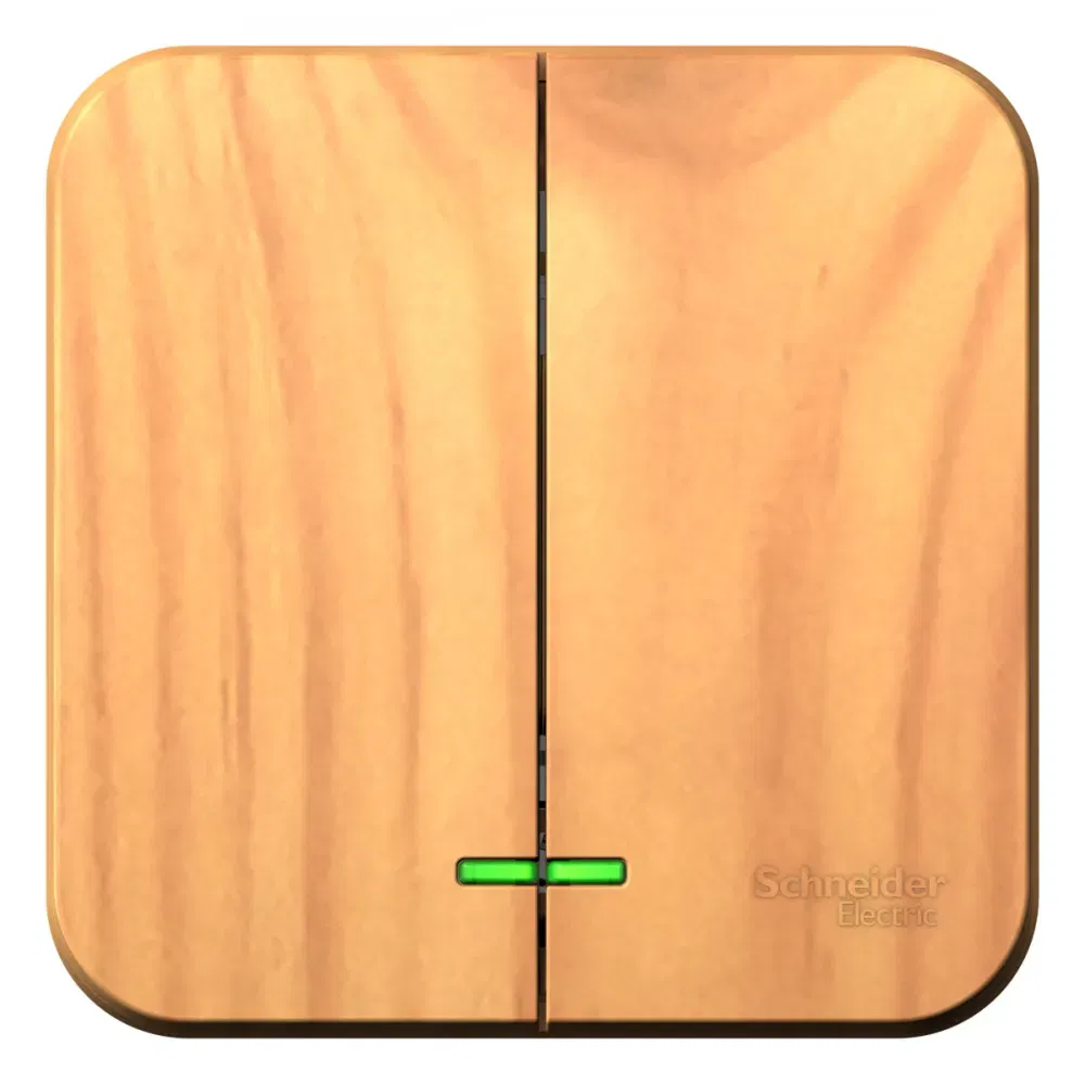 Blanca Выключатель 2-клавишный (сх.5) с подсв.ИЗОЛ.ПЛ,10А,250В, Ясень Schneider Electric BLNVA105115