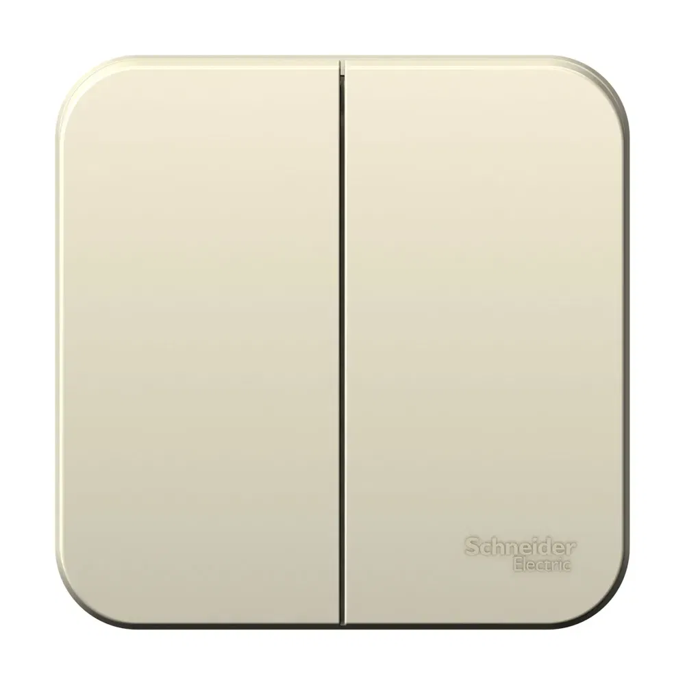 Blanca Выключатель 2-клавишный (сх.5) ИЗОЛ.ПЛ., 6А, 250В, Молочный Schneider Electric BLNVA065012