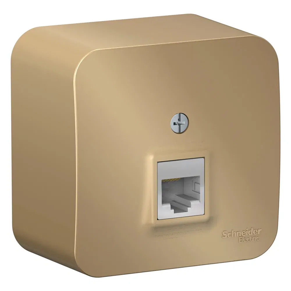 Blanca Розетка компьютерная RJ45, кат.5E, ИЗОЛ.ПЛ., Титан Schneider Electric BLNIA045004