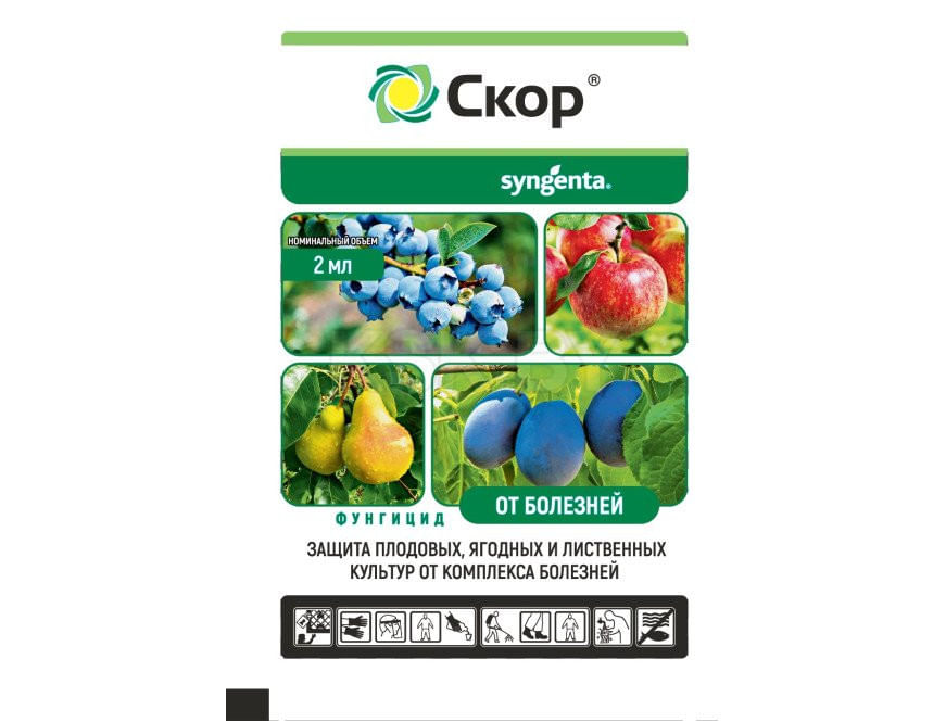 Фунгицид Скор КЭ, 2мл