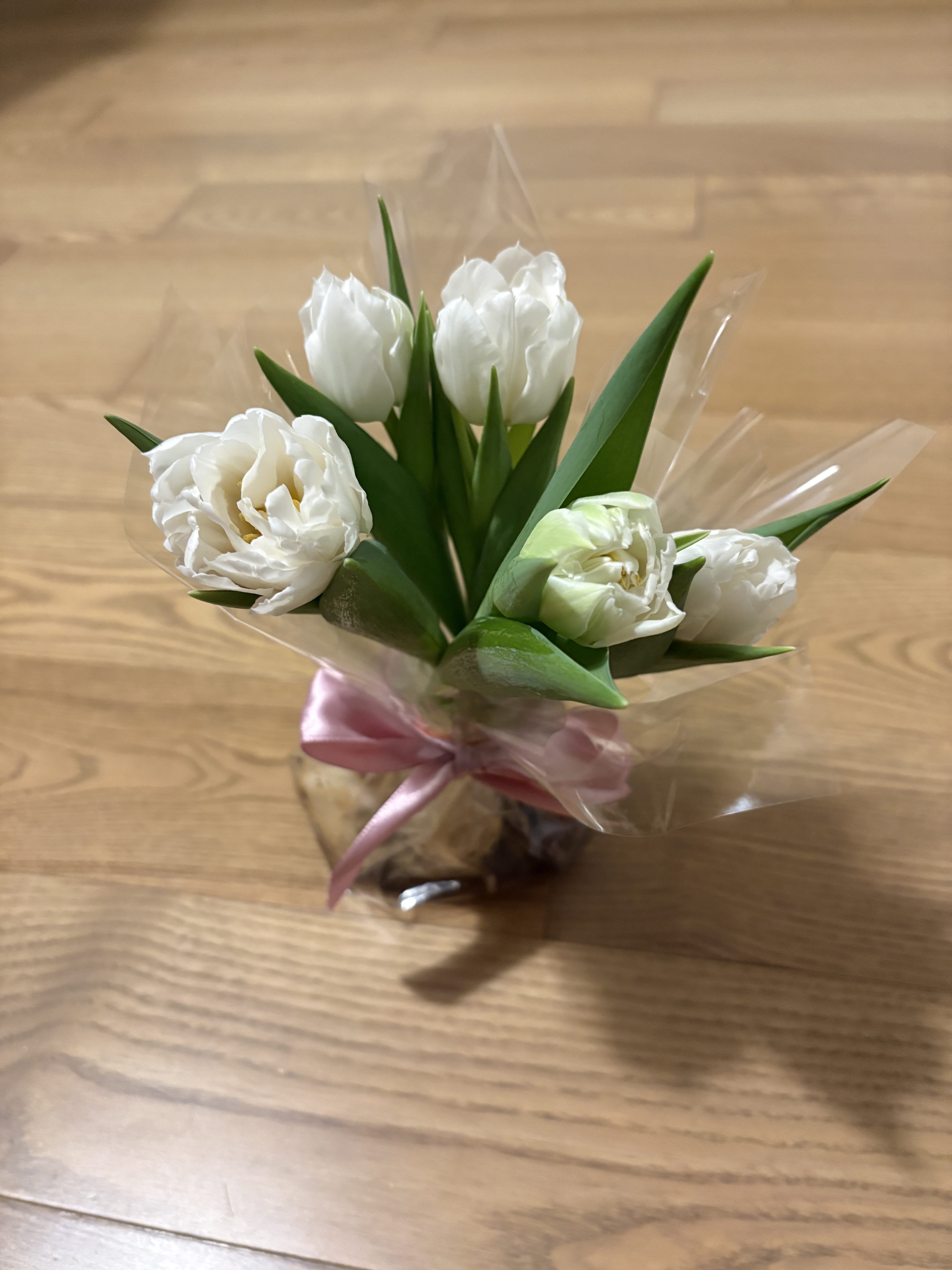 Тюльпаны в аквабоксе