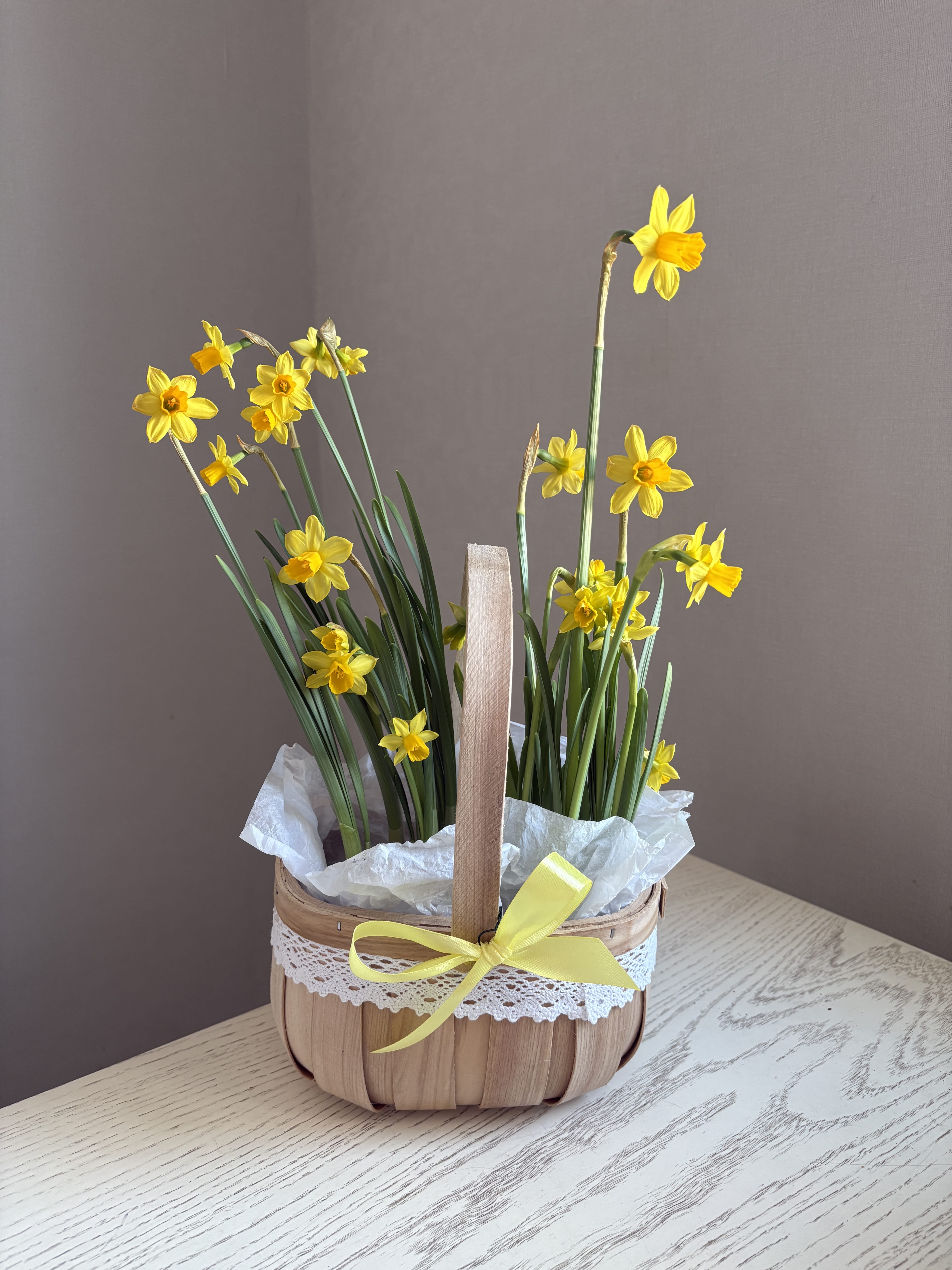 Нарциссы Tete-a-tete