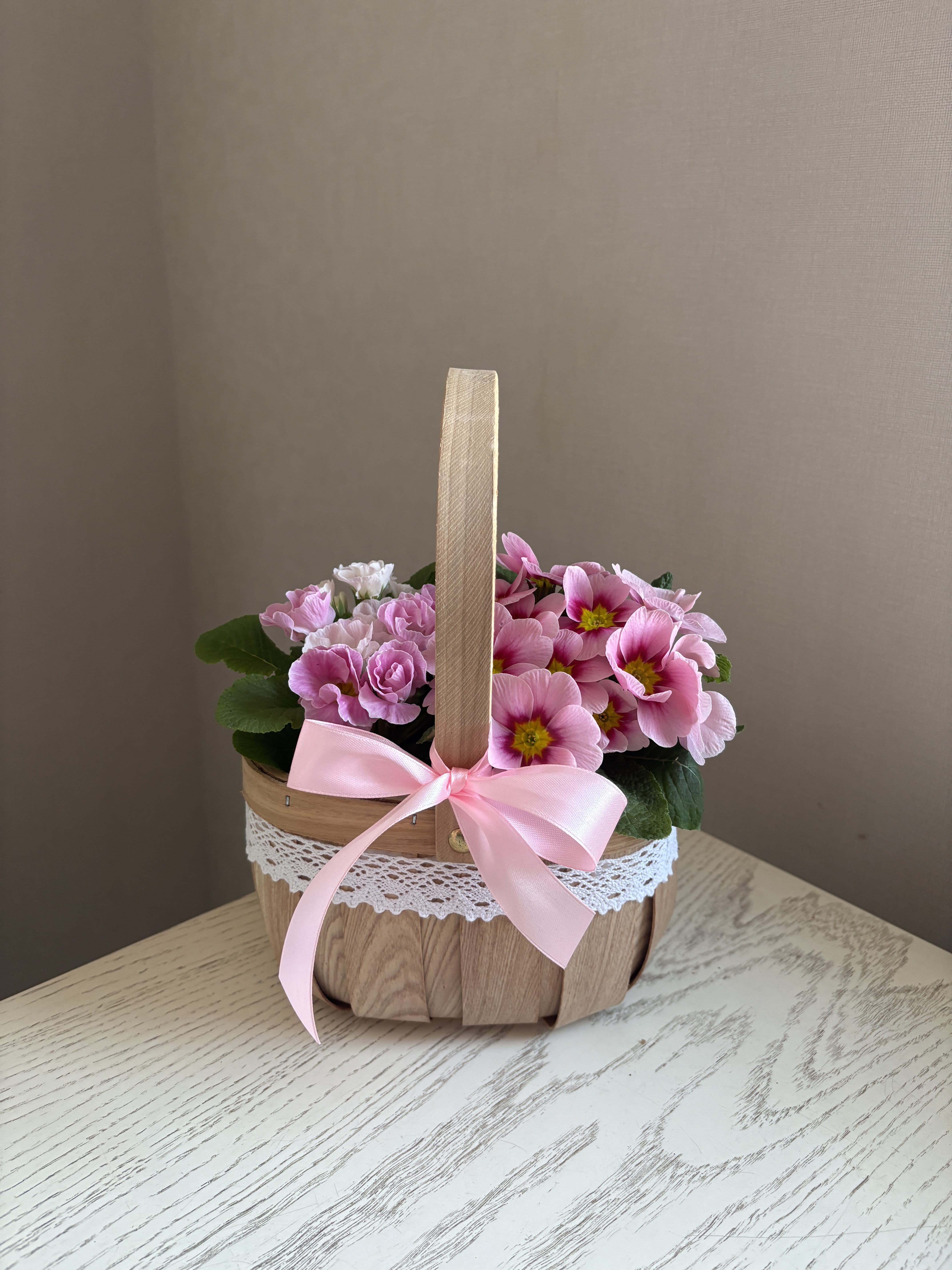 Примулы в корзине