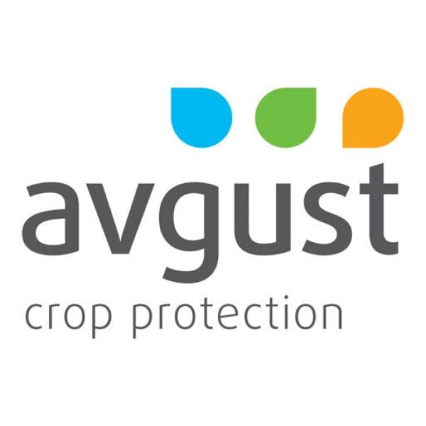 аvgust