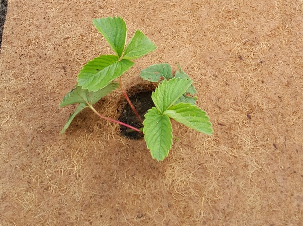 Укрывной материал