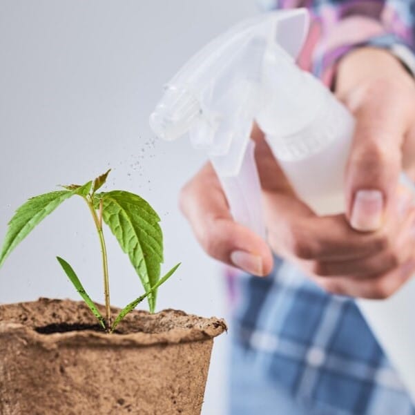 Защита растений