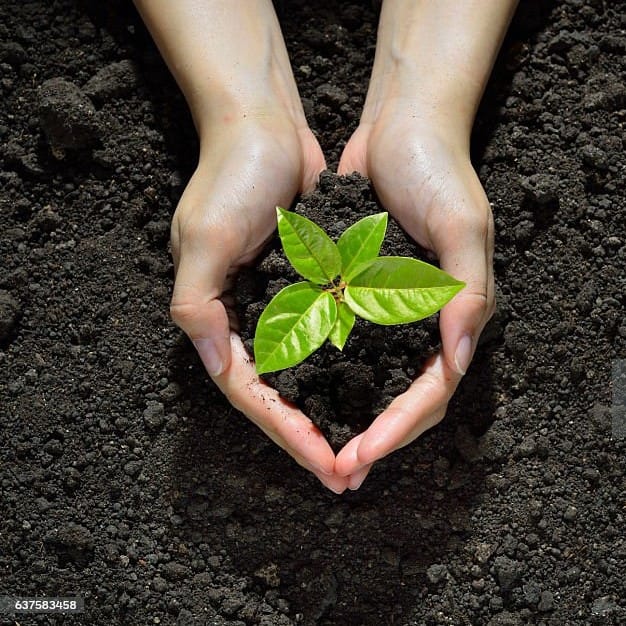 Грунты, добавки для грунта