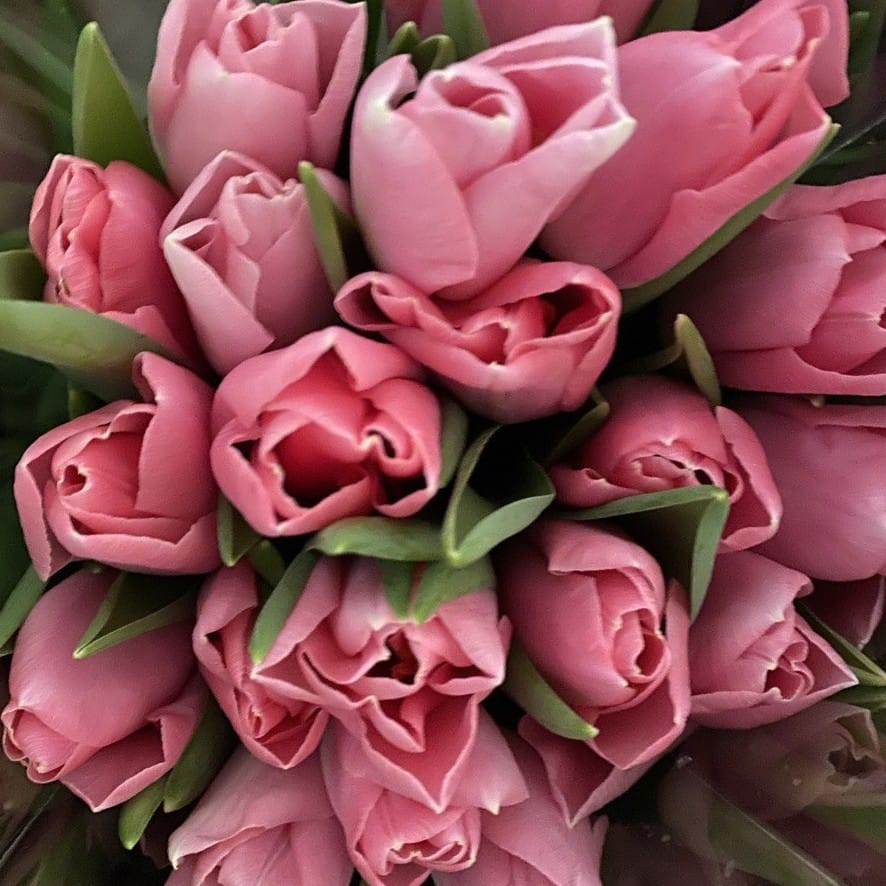 Тюльпаны (предзаказ букетов)