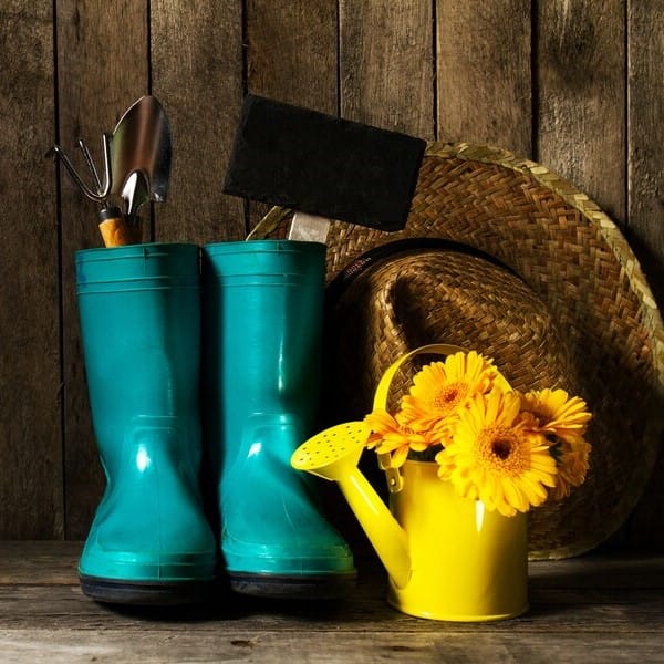 Садовый инвентарь