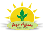 Сады Аурики