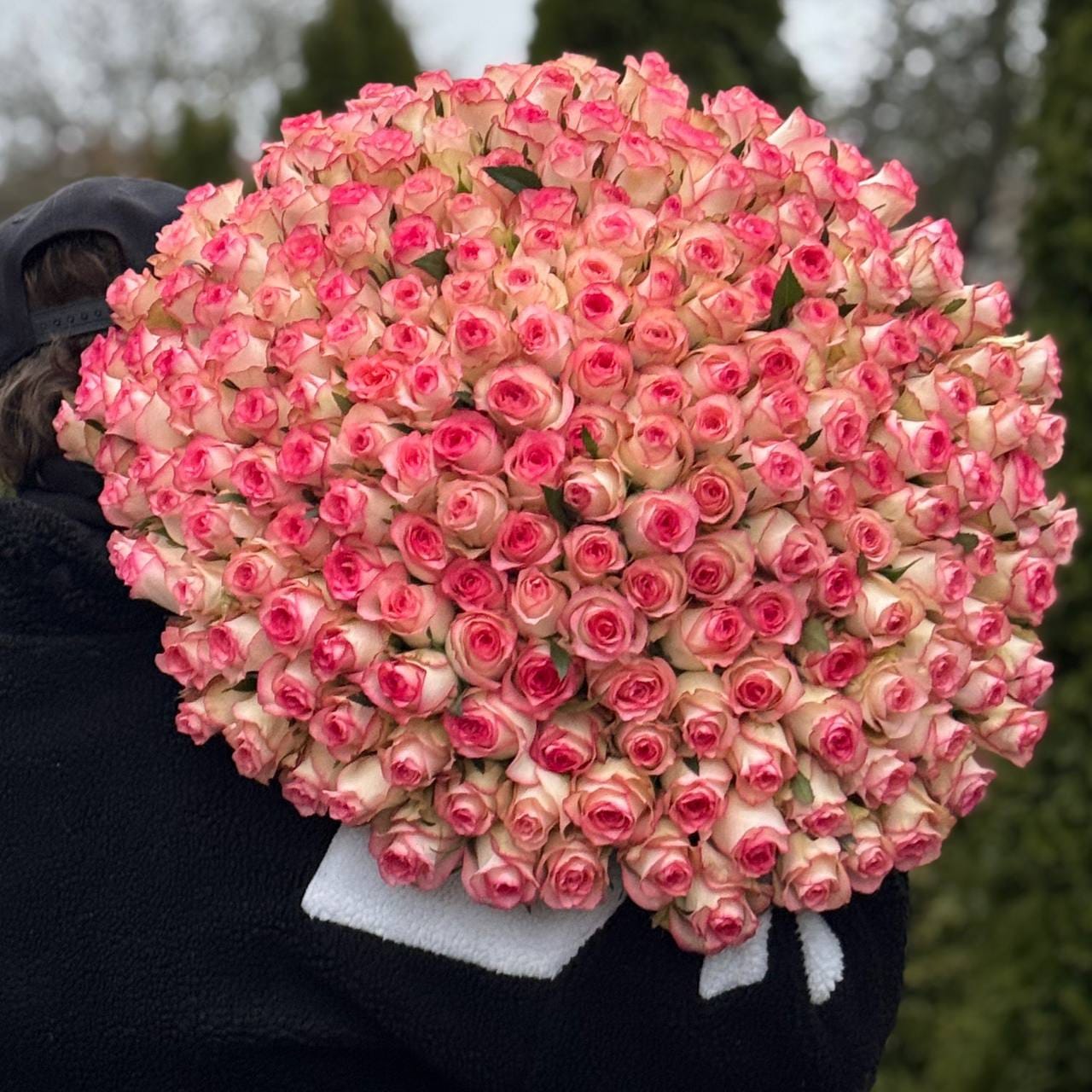 Букет роз " ГРАНД" 201 роза 60см