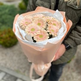 Букет гербер " Розмарин"