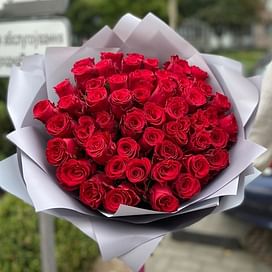 Букет роз " Миранда" 60см 51 роза