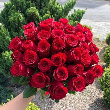 Букет роз РОДОС 35шт