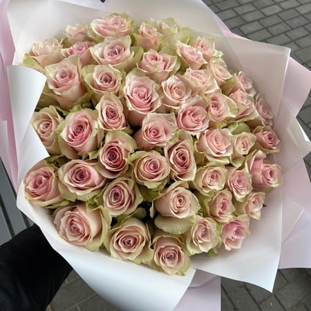 Букет роз "Арина" 51 роза