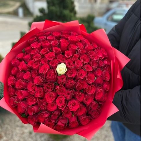 Букет роз "Вау-Вау-вау" 60см 101 роза