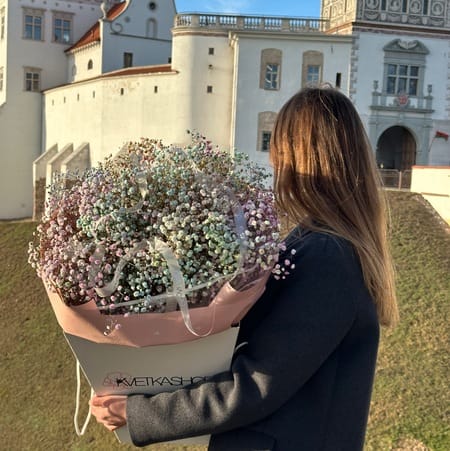 Бокс LOVE №7 Гипсофила (15шт)