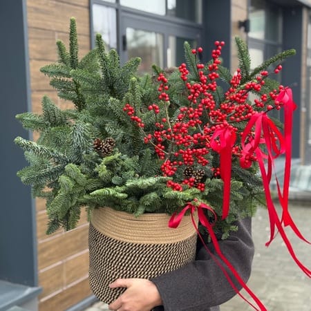 Новогодний БАНЧ с нобилисом