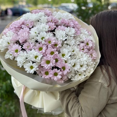 БОКС хризантем "Розовая гавань" 21шт