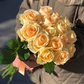 Кремовые розы Аваланш Пич 15 роз