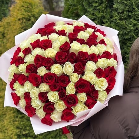 Букет роз " Моник " 101 роза