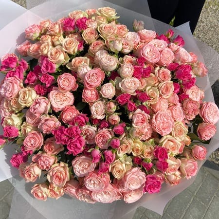 Букет роз "Лана" 35 роз