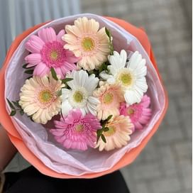 Букет из гербер 9шт