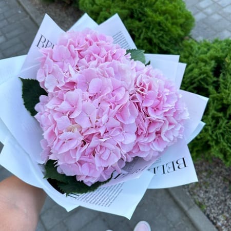 Букет гортензий "Трио"