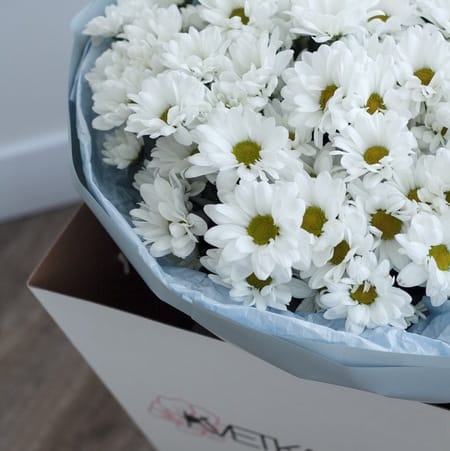 БОКС хризантем "Муза" 11шт