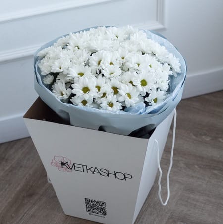 БОКС хризантем "Муза" 11шт