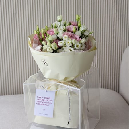 Бокс эустом "Сью"