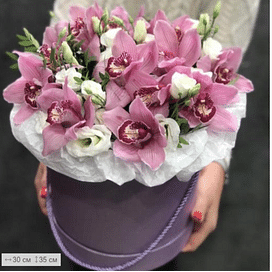 Коробка орхидей "Розовый лес"