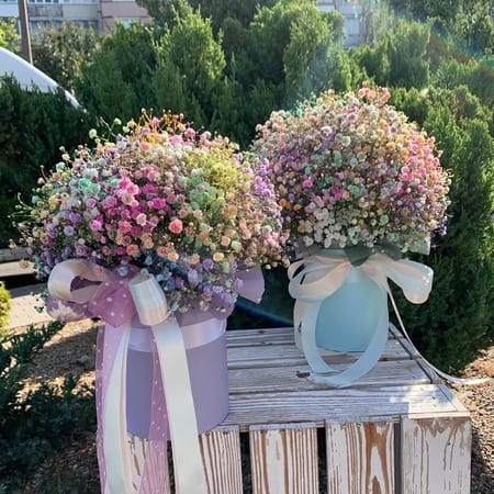 Коробка с радужной гипсофилой