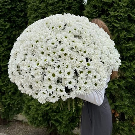 Букет "Париж" 101шт