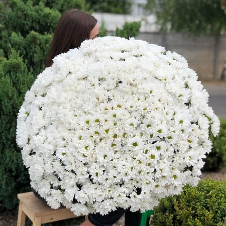 Букет "Париж" 101шт