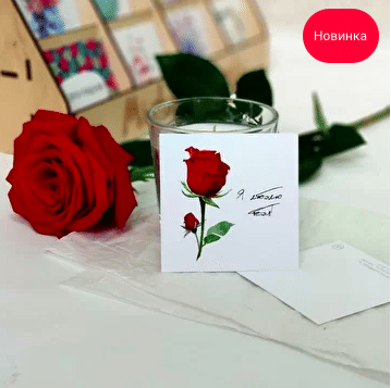Открытка "Роза"
