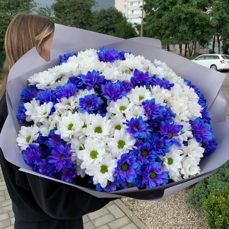 Букет "Синее Небо" 31 ветка