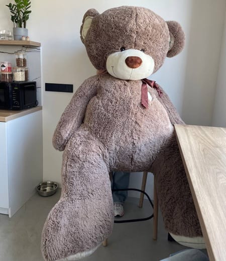 Медведь Феликс 230см бурый