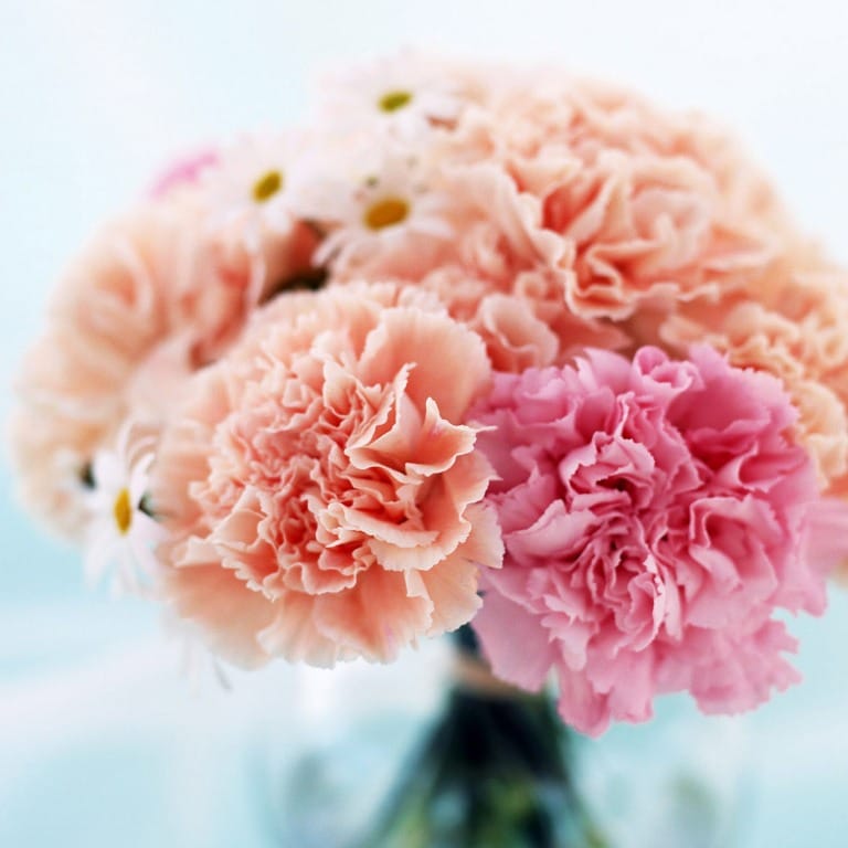 Какие цветы дольше стоят в вазе?