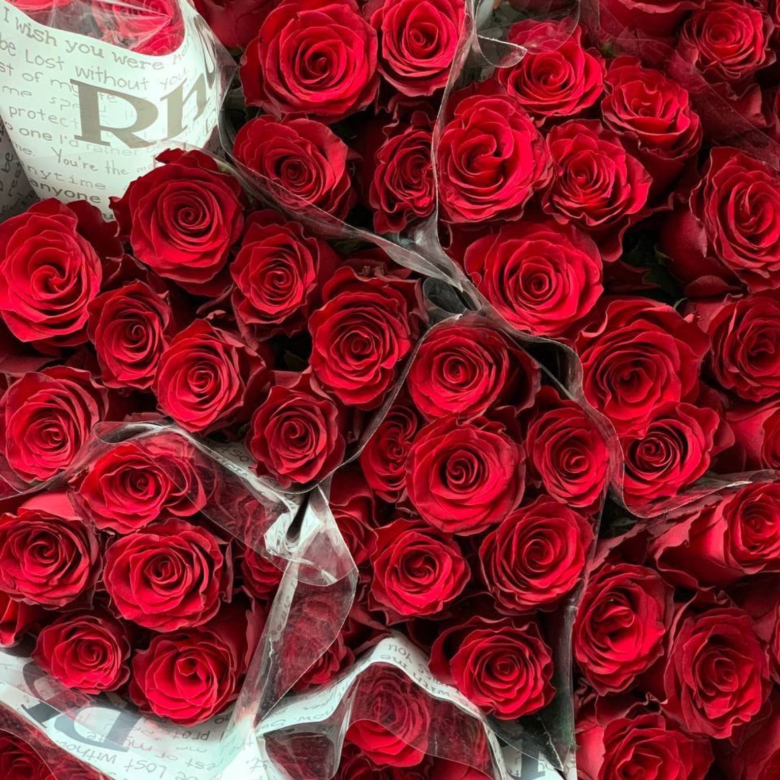 красные розы